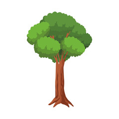 tree icon image, colorful design