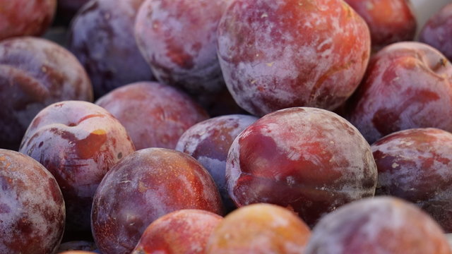 Pile of Plumcots at the Farmer's Market