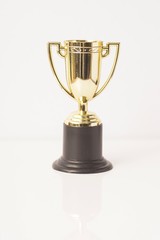 Fototapeta na wymiar Trophy replica isolated against white