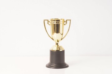 Trophy replica isolated against white
