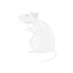 Gray rat symbol of the new year 2020 on a white background. Flat vector illustration EPS10