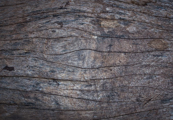 Vintage old wooden wall background, backgrounds and texture concept