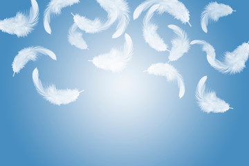 Abstract, soft white feathers floating in the air © Siwakorn1933