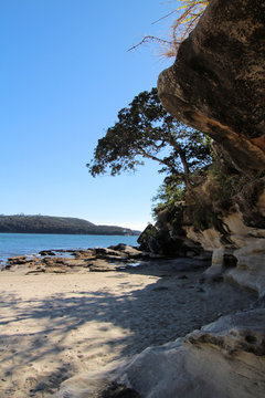 Eroded Sea Cliff on Balmoral Beach Sydney