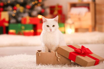 Cute white cat in Christmas gift box indoors. Adorable pet