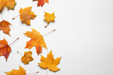 Flat lay composition with autumn leaves on white background. Space for text