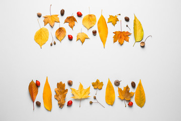 Flat lay composition with autumn leaves on white background. Space for text