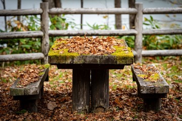 bench in autumn park