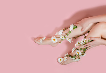 Legs in flowers camomiles on a pastel background. The concept of pain, swelling of the legs,...