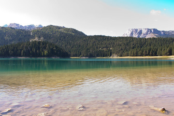 Black lake in Montenegro. Beautiful lake on the background of forest and mountains.