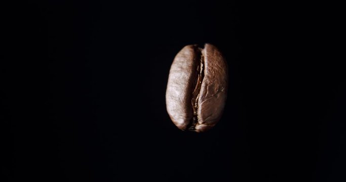 Close up shot of a spinning coffee bean with black background and soft light from the left.