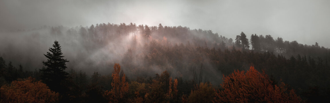 Après la pluie, la brume exhale les effluves de la foret automnale - After the rain, the mist exhales the fragrance of the autumnal forest