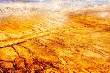 Texture of Grand Prismatic Spring Yellowstone