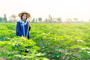 Smiling female tapioca farmer who wearing a blue Mauhom T-shirt, wrapped around the neck with blue and white plaid loincloth, wearing a palm-leaf hat(ngop), is using a spade to hedge grass and weeds.