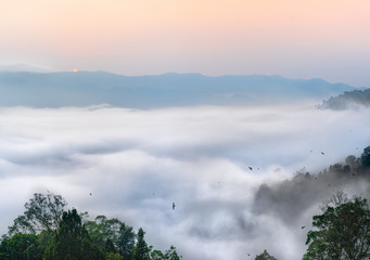 Above The Cloud. Heavy Fog or Mist Fall On Tropical Rainforest Valley During Sunrise or Sunset in Citorek Mountain Luhur Located in National Park Halimun.