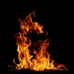 Fire burning flames on a black background