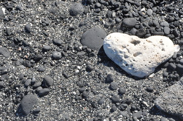 Romance Heart Shaped Coral