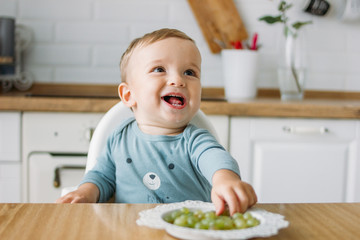 Charming happy little baby boy eating first food green grape at the bright kitchen at home