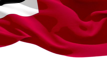 Democratic Republic of Georgia waving national flag. 3D illustration