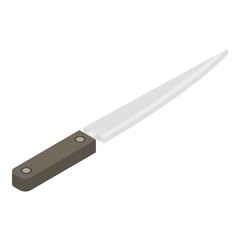 Kitchen knife icon. Isometric of kitchen knife vector icon for web design isolated on white background