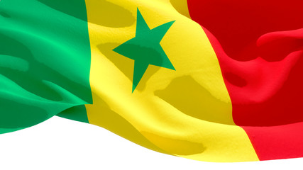 Republic of Senegal waving national flag. 3D illustration