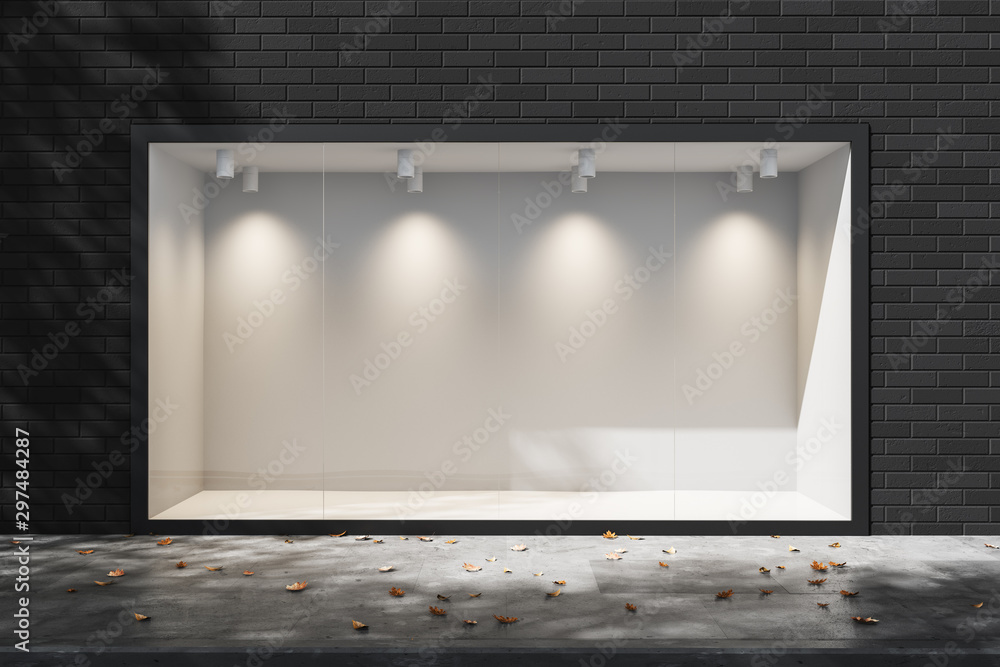 Poster empty lighted showcase in the daytime. empty space for advertising. mock up. 3d rendering