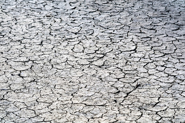 The soil is dry, the surface is cracked because it doesn't rain for a long time and sunburn on top dirt