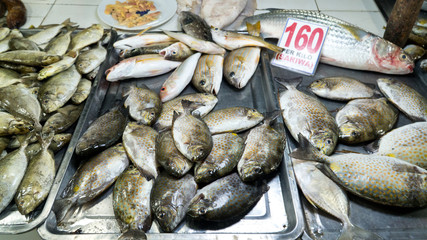 A lot of small fish for sale. Fish shop. Various fish on the counter.