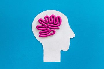 Brain work and studying. Plastiline meanders in head on blue background top view