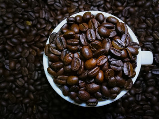 Coffee Beans in white cup 