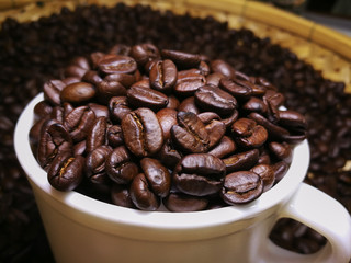 Coffee Beans in white cup 