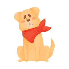 Large beige dog is sitting. Vector illustration on a white background.