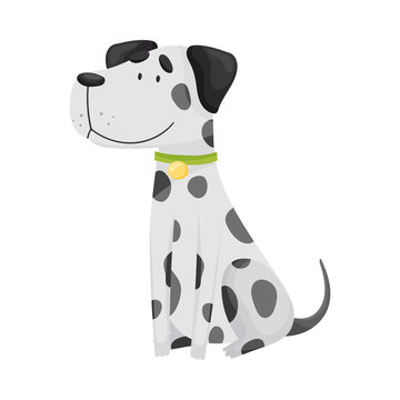 Cartoon dalmatin is sitting. Vector illustration on a white background.