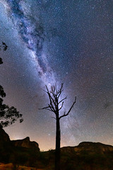 Starry night skies over Gardens of Stone and lone tree