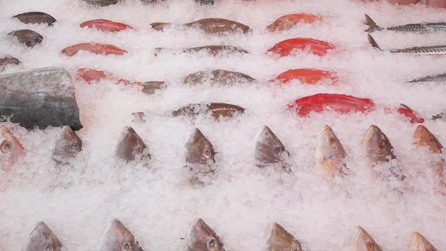 Assortment of fish on ice, displayed on a UK fishmonger stall