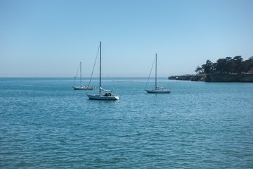 Fototapeta premium Yachts in the sea