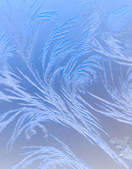 Natural pattern on glass at dawn of the sun.