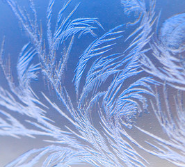 Natural pattern on glass at dawn of the sun.