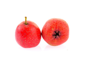Hawthorn on a white background