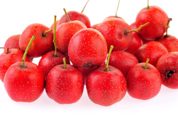 Hawthorn on a white background