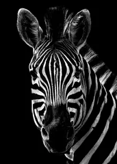 Fotobehang Zebra Zwart-wit zebraportret op een zwarte achtergrond