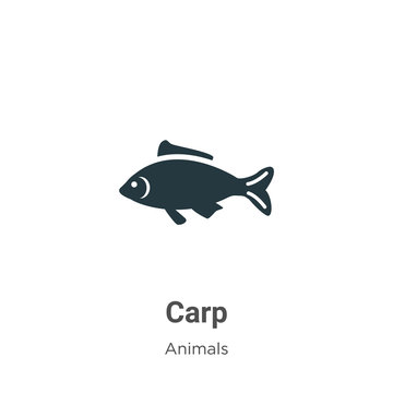 Carp vector icon on white background. Flat vector carp icon symbol sign from modern animals collection for mobile concept and web apps design.