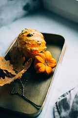 Autumn is coming. small yellow pumpkin and yellow leaves