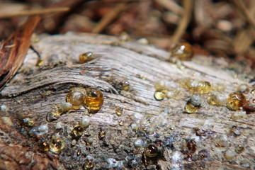 perles de résine 