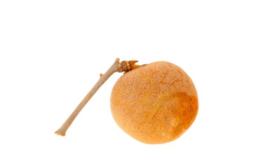 longan