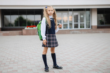 Teenage schoolgirl in uniform.