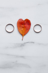 wedding rings and a red heart-shaped leaf on a marble background. Wedding concept or concept of Valentine's Day and all lovers