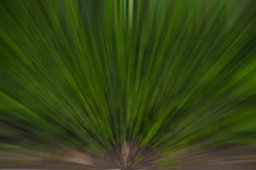 Backdrop the distribution of light abstract background art colors, bokeh and blur.