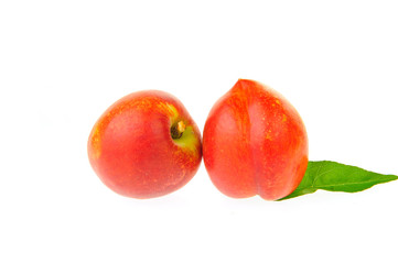 Peach on a white background