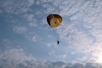 A paratrooper is landing.